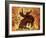 Rodeo 1-Sokol-Hohne-Framed Art Print