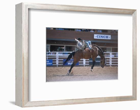 Rodeo at Calgary Stampede, Calgary, Alberta, Canada-null-Framed Art Print