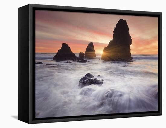 Rodeo Beach 4-Moises Levy-Framed Premier Image Canvas