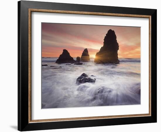 Rodeo Beach 4-Moises Levy-Framed Photographic Print