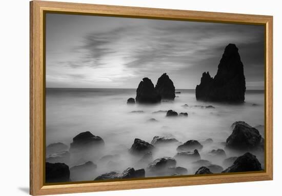 Rodeo Beach II, Black and White-Moises Levy-Framed Premier Image Canvas