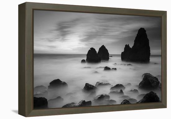 Rodeo Beach II, Black and White-Moises Levy-Framed Premier Image Canvas