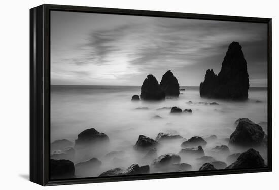 Rodeo Beach II, Black and White-Moises Levy-Framed Premier Image Canvas