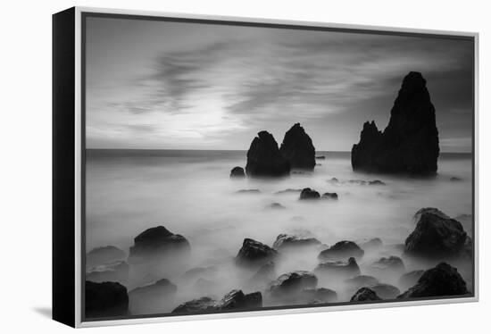 Rodeo Beach II, Black and White-Moises Levy-Framed Premier Image Canvas