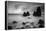 Rodeo Beach II, Black and White-Moises Levy-Framed Premier Image Canvas