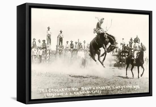 Rodeo Bronco Buster, Cheyenne, Wyoming-null-Framed Stretched Canvas