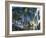 Rodeo Drive, Beverly Hills, California, USA-Ethel Davies-Framed Photographic Print