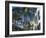 Rodeo Drive, Beverly Hills, California, USA-Ethel Davies-Framed Photographic Print