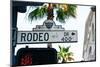 Rodeo Drive Hollywood-null-Mounted Art Print