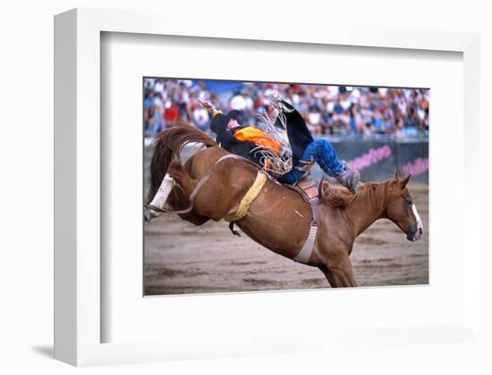 Rodeo in Valleyfield, Quebec, Canada-null-Framed Art Print