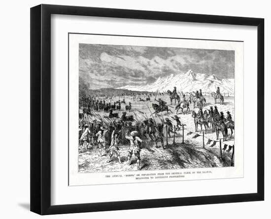 Rodeo, South America, 1877-null-Framed Giclee Print