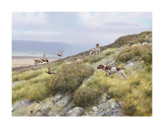 Limited Edition, , large