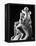 Rodin: The Kiss, 1886-Auguste Rodin-Framed Premier Image Canvas