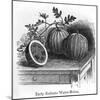 Rodosto Water Melon-null-Mounted Art Print
