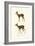 Roe Deer, 1824-Karl Joseph Brodtmann-Framed Giclee Print