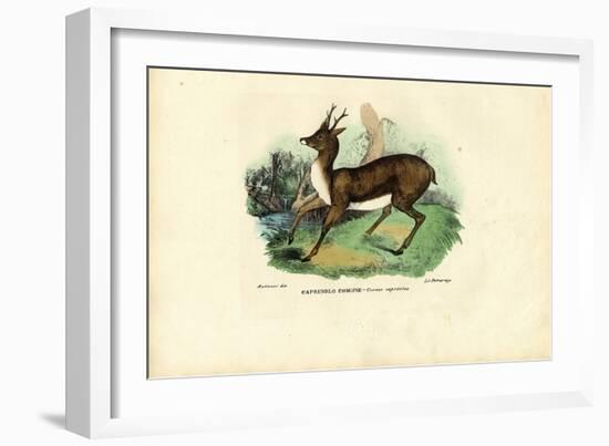 Roe Deer, 1863-79-Raimundo Petraroja-Framed Giclee Print