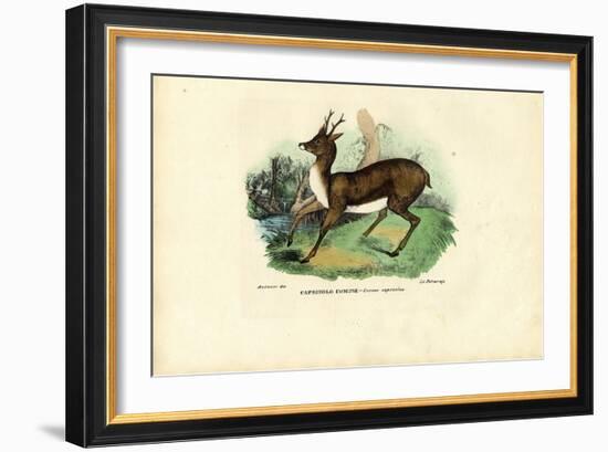 Roe Deer, 1863-79-Raimundo Petraroja-Framed Giclee Print