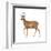 Roe Deer (Capreolus), Mammals-Encyclopaedia Britannica-Framed Art Print