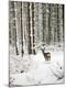 Premium Photographic Print