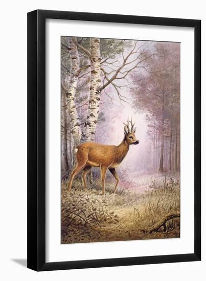 Roe-Deer-Carl Donner-Framed Giclee Print