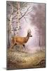 Roe-Deer-Carl Donner-Mounted Giclee Print
