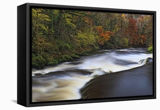 Roe Valley, County Londonderry, Ulster, Northern Ireland, United Kingdom, Europe-Carsten Krieger-Framed Premier Image Canvas