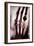 Roentgen Rays (Rontgen) or X-Rays First Photograph: the Hand of Roentgen's Wife. 22/12/1895.-Unknown Artist-Framed Giclee Print