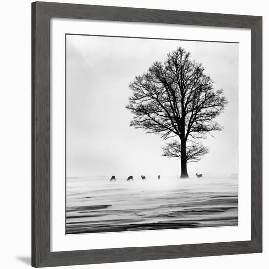 Roes-null-Framed Giclee Print