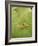 Roesel's Bush-Cricket, Female on Leaf-Harald Kroiss-Framed Photographic Print