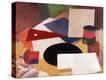 Stretched Canvas Print