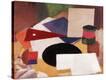 Stretched Canvas Print