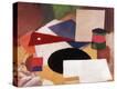 Stretched Canvas Print