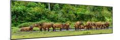 Premium Photographic Print