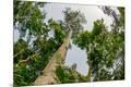 Premium Photographic Print