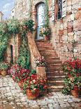 Stone Stairway, Perugia-Roger Duvall-Framed Premium Giclee Print