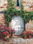 Wooden Doorway, Siena-Roger Duvall-Framed Art Print