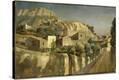 Stretched Canvas Print