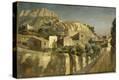 Stretched Canvas Print