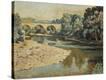 Stretched Canvas Print