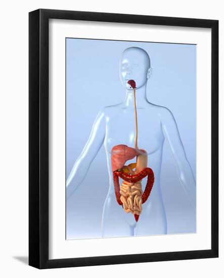 Photographic Print, , large