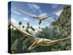 Stretched Canvas Print