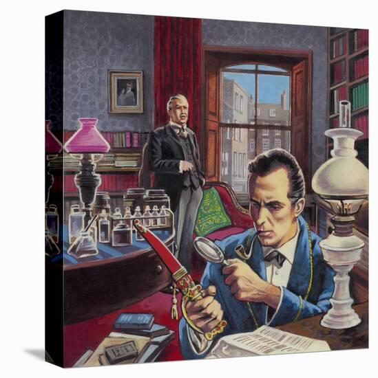 Stretched Canvas Print, , large