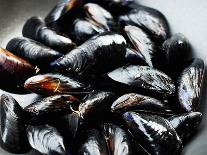 Mussels-Roger Stowell-Photographic Print