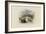 Rogers's Poems 1835 Watercolours, Venice (The Rialto - Moonlight)-J. M. W. Turner-Framed Giclee Print