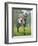 Rogerstone Castle, Jockey: E. C. Elliott', 1939-Unknown-Framed Giclee Print