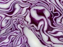 A Sliced Red Cabbage-Rogge & Jankovic-Photographic Print