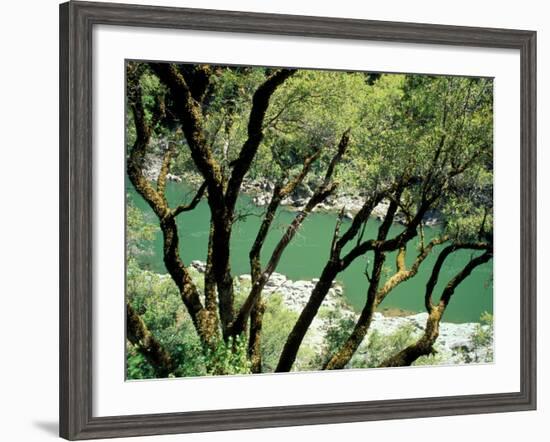 Rogue River, BLM Medford District, Siskiyou Mountains, Oregon, USA-Jerry & Marcy Monkman-Framed Photographic Print