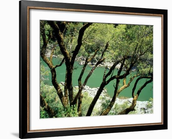 Rogue River, BLM Medford District, Siskiyou Mountains, Oregon, USA-Jerry & Marcy Monkman-Framed Photographic Print