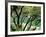 Rogue River, BLM Medford District, Siskiyou Mountains, Oregon, USA-Jerry & Marcy Monkman-Framed Photographic Print