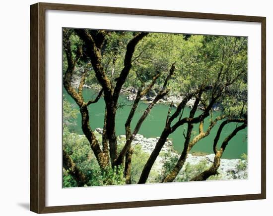 Rogue River, BLM Medford District, Siskiyou Mountains, Oregon, USA-Jerry & Marcy Monkman-Framed Photographic Print